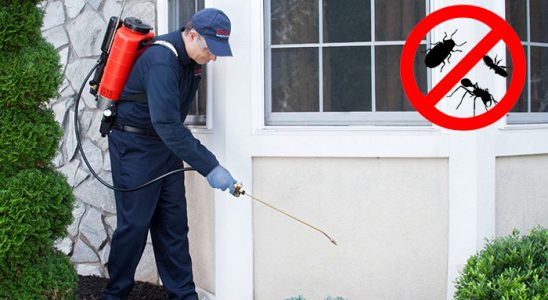 Felahiye Böcek İlaçlama böcek ilaçlama ve haşere kontrolü — ilaclama-tr.com